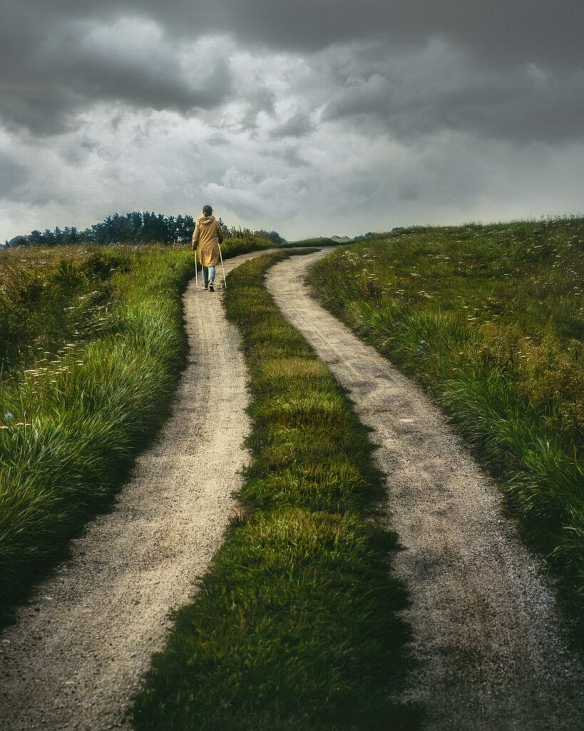 path, rural, nature, road, countryside, outdoors, walking, trail, travel, adventure, journey, path, road, journey, journey, journey, journey, journey